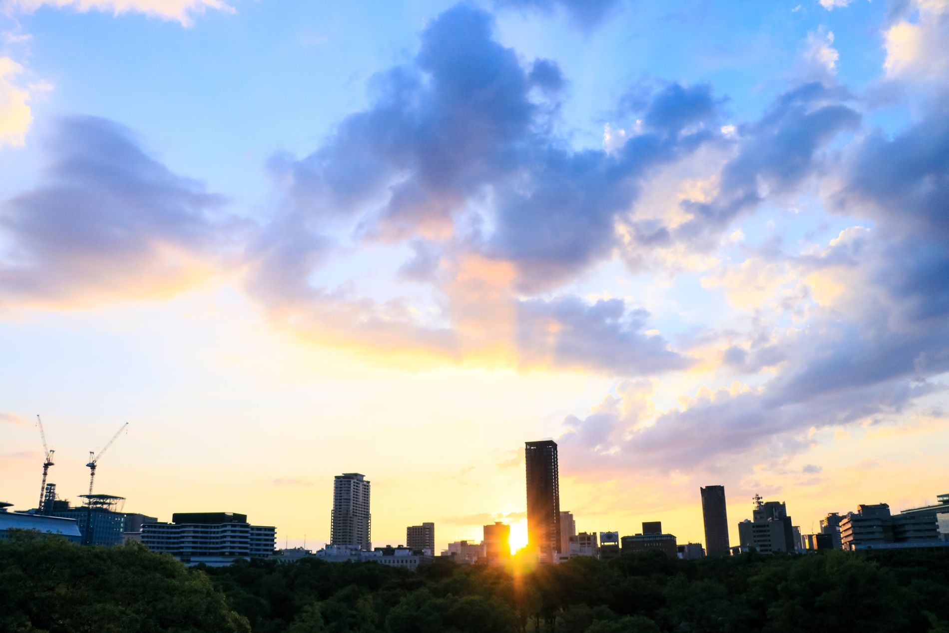 E-BRIDGEが目指す未来